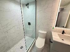 Bloor and Sherbourne 1 Bed Plus 1 Den 1 Bath Condo for Rent - Photo 8