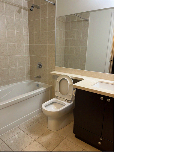 1 Bdr&Den Luxury Condo Markham (Birchmount & Hwy#7) for Rent - Photo 8