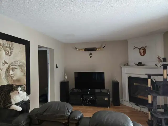 room for rent - Photo 4