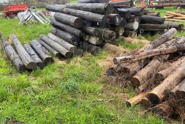 Hydro Poles for Sale