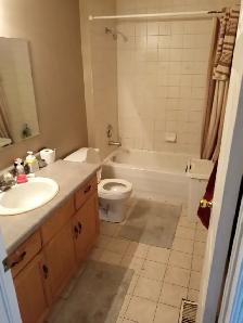 Basement apartment (Newly renovated and being finished) - Photo 3