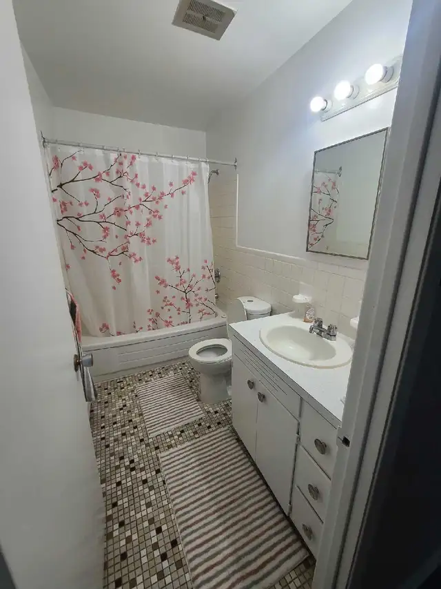 1 bed apt. for rent just behing NBCC Moncton