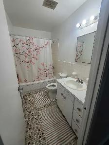 1 bed apt. for rent just behing NBCC Moncton