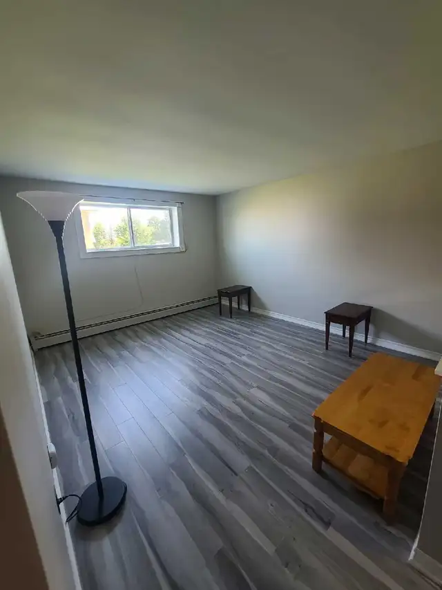 1 bed apt. for rent just behing NBCC Moncton - Photo 4
