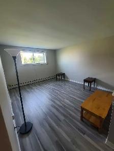 1 bed apt. for rent just behing NBCC Moncton - Photo 4