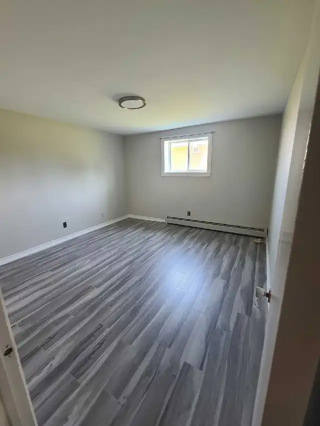 1 bed apt. for rent just behing NBCC Moncton - Photo 5