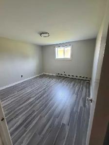 1 bed apt. for rent just behing NBCC Moncton - Photo 5