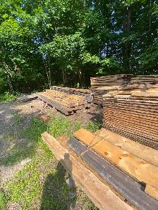 100x bois pine blanc