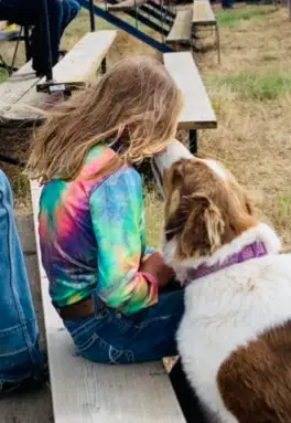 Australian Shepherd - Photo 5
