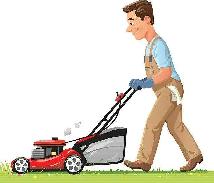 Spring clean-ups. Lawn maintenance. Yard care.