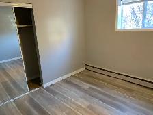 One B/R apartment for rent in Beltline (downtown) - Photo 3