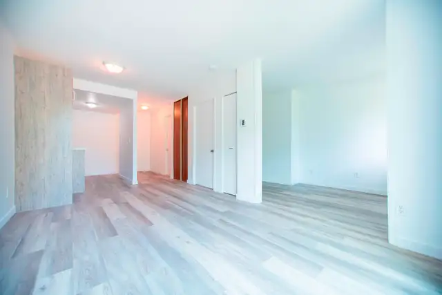 Studio JUILLET cuisine rénovée
