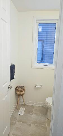 4 Bedroom House for Rent - Photo 17