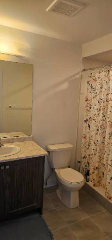 4 Bedroom House for Rent - Photo 19