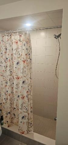 4 Bedroom House for Rent - Photo 20