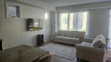 4 Bedroom House for Rent - Photo 22