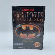 Batman The Video Game