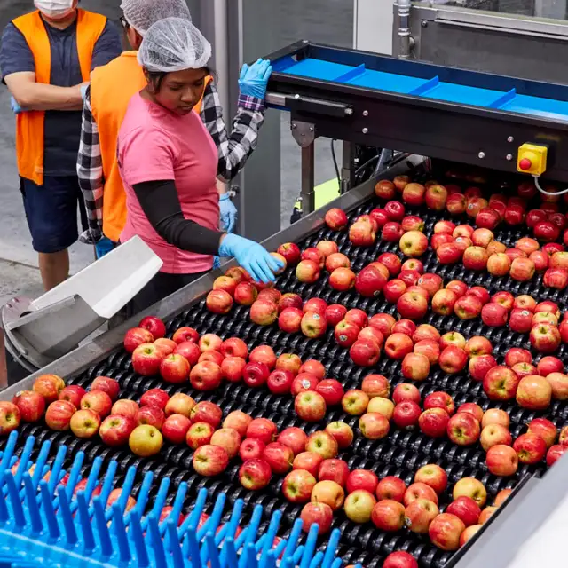 Fruit Packaging Job in Etobicoke