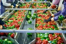 Fruit Packaging Job in Etobicoke - Photo 3