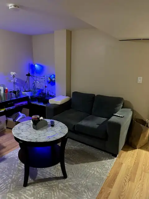 Brampton Private Quite,room For female,in a basement - Photo 8