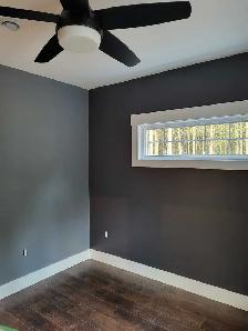 Max Atlantic Pro Painting - Photo 5