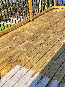 Max Atlantic Pro Painting - Photo 8