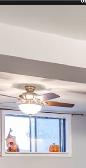 BRAMPTON BASEMENT APT WITH LAUNDRY AVAIL NOW - Photo 2