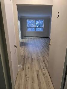Bachelor apartment available June 1st!