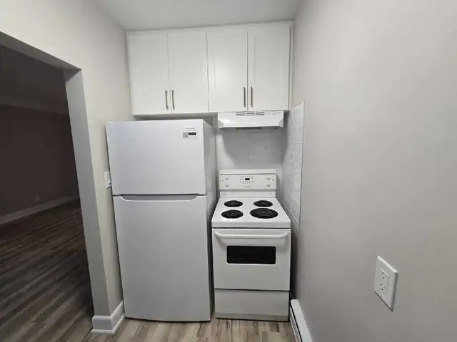 Bachelor apartment available June 1st! - Photo 6