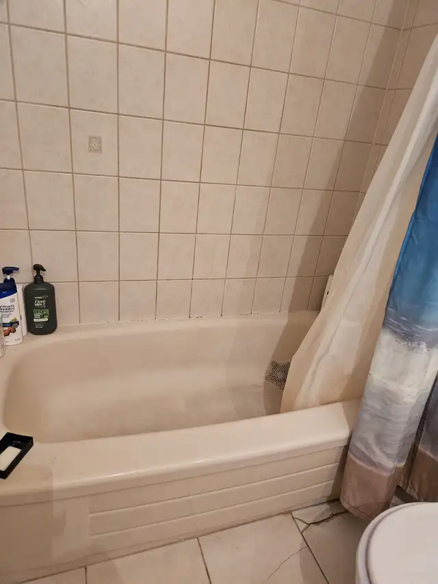Room for Rent Close To York U, Env.Can, Sanofi Pasteur, UoT Aero - Photo 5