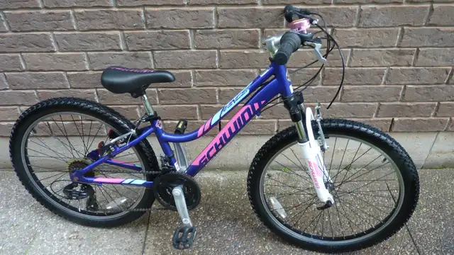 Young Ladies Bicycle