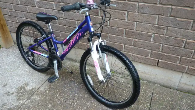 Young Ladies Bicycle - Photo 2
