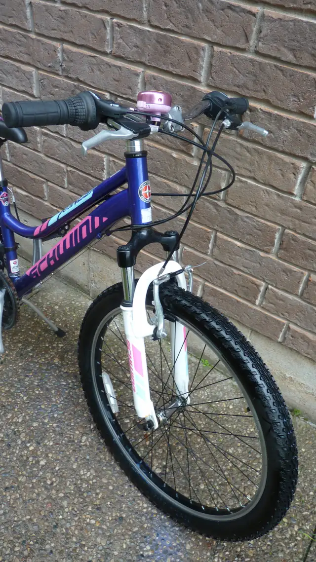 Young Ladies Bicycle - Photo 3