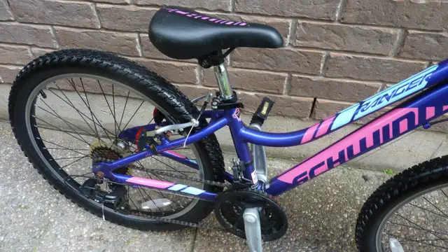 Young Ladies Bicycle - Photo 4
