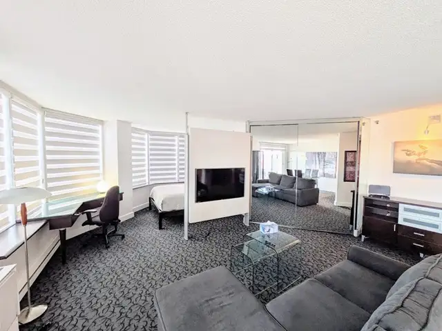 1 Bed- ALL Included- Metro Guy- Available Now- min 2 months - Photo 3