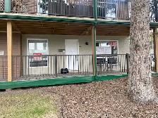 Bankview Condo FOR SALE  $290 K GREAT FOR SENIORS NEW KITCHEN - Photo 2