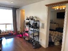 Bankview Condo FOR SALE  $290 K GREAT FOR SENIORS NEW KITCHEN - Photo 18