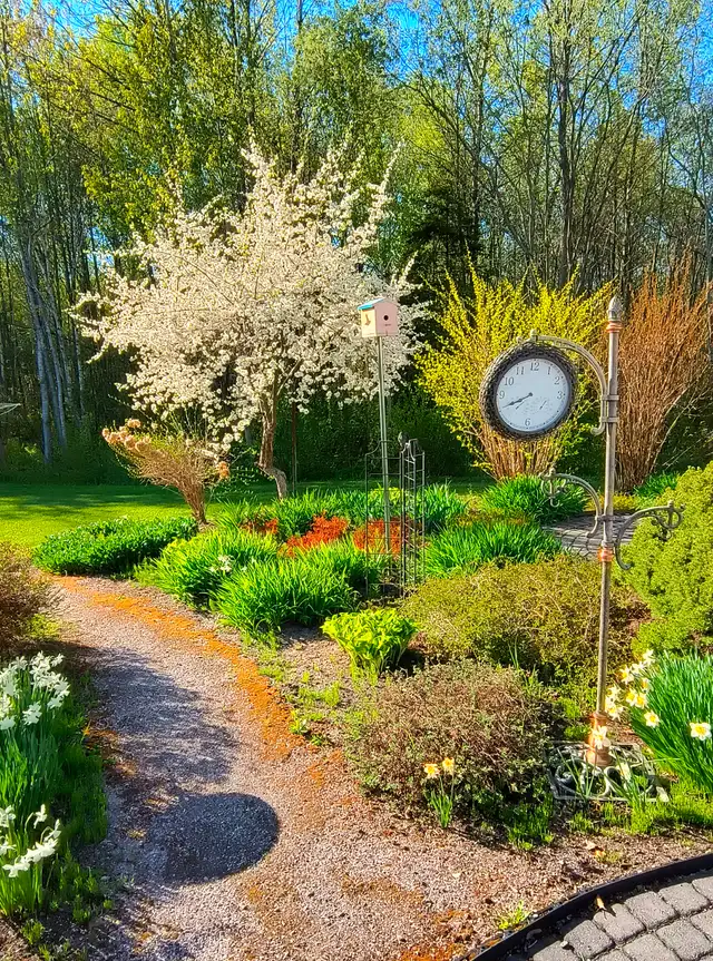 HOUSE FOR SALE - Photo 2
