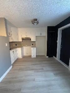 4 1/2 a louér pointe aux trembles - Photo 10