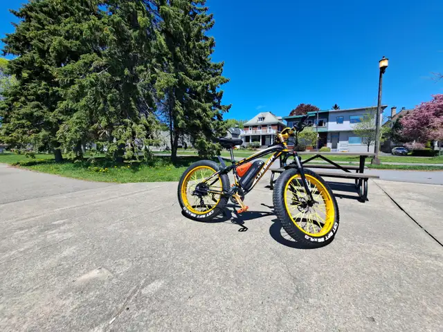 Velo electric rich bit! lussier! Parfaite consition!