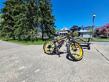 Velo electric rich bit! lussier! Parfaite consition!