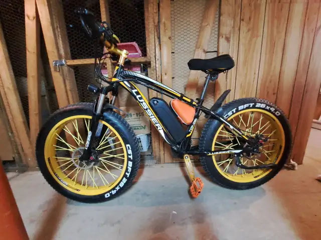 Velo electric rich bit! lussier! Parfaite consition! - Photo 2