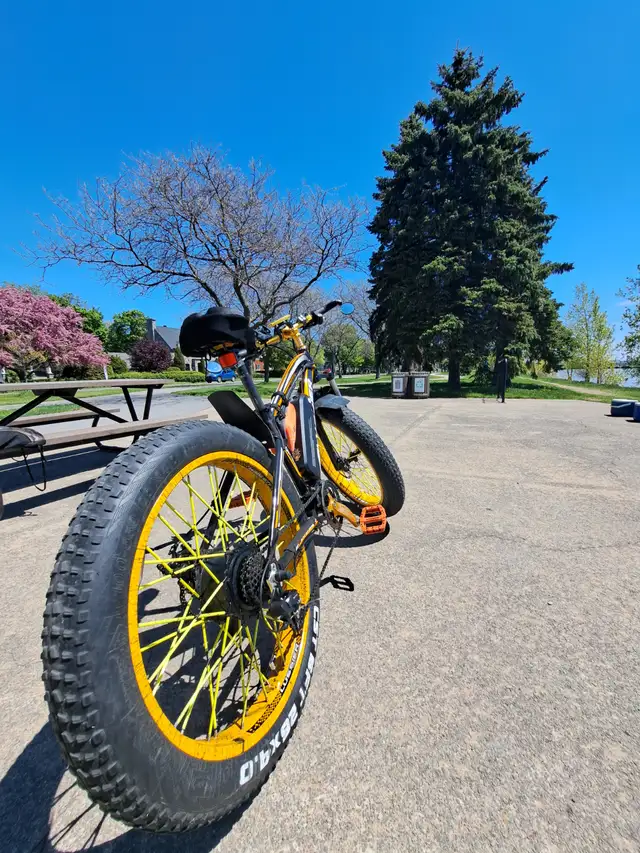 Velo electric rich bit! lussier! Parfaite consition! - Photo 4