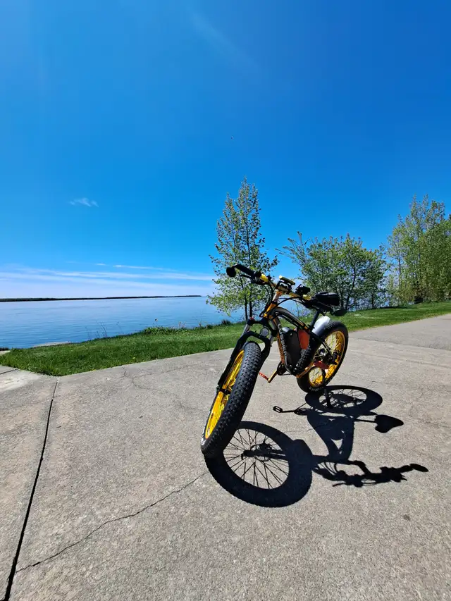 Velo electric rich bit! lussier! Parfaite consition! - Photo 6