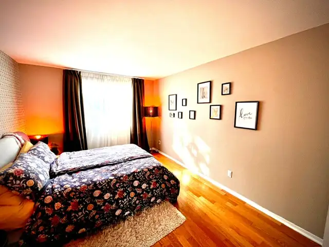 Plateau, très grand 5 1/2 à louer pour premier Juillet. - Photo 6
