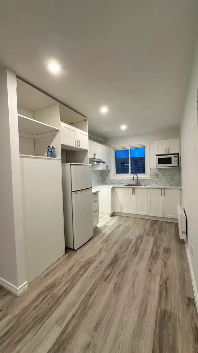 New renovated 4 1/2 apartment southwest (sud-ouest ) for rent