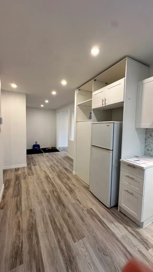 New renovated 4 1/2 apartment southwest (sud-ouest ) for rent - Photo 3