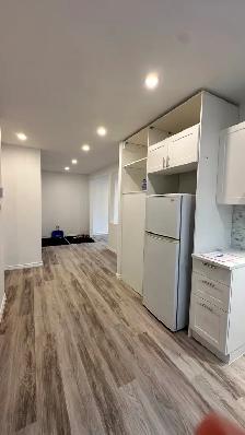 New renovated 4 1/2 apartment southwest (sud-ouest ) for rent - Photo 3