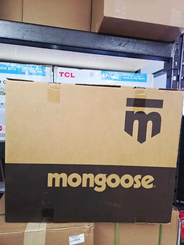 Trotinette mongoose