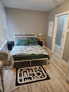 June 1st New Reno Large One BR Apartment & Balcony Quinpool Rd. - Photo 6